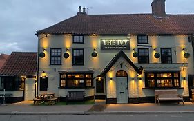 The Ivy